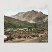 Carte Postale Round Up (Colorado, 1898) (Dos)