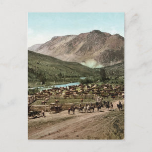 Carte Postale Round Up (Colorado, 1898)
