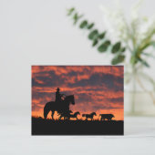 Carte Postale Roundup de Cowboy et Wild Horses (Debout devant)