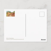 Carte Postale Roussillon, Provence, falaises ocre et roses (Dos)