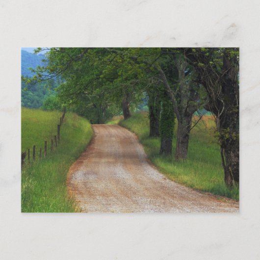 Carte Postale Route (Devant)