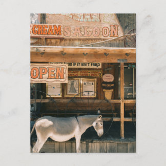 Carte Postale Route 66 Burros
