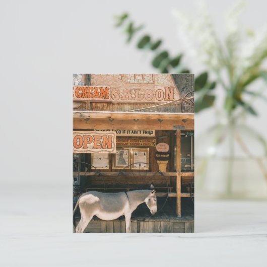 Carte Postale Route 66 Burros (Debout devant)