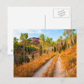Carte Postale Route à travers les couleurs d'automne (Devant / Derrière)