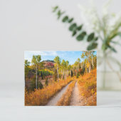 Carte Postale Route à travers les couleurs d'automne (Debout devant)