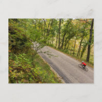 Route À Vélo Sur Route Campagne