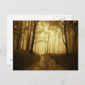 Carte Postale Route dans une forêt sombre avec brouillard (Devant / Derrière)