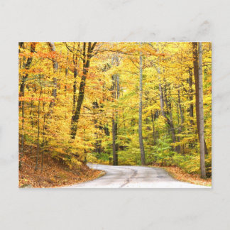 Carte Postale Route d'automne
