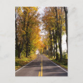 Carte Postale Route d'automne (Devant)