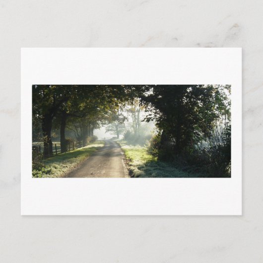 Carte Postale Route de campagne à Cheshire (Devant)