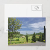 Carte Postale Route de campagne courbée entre cyprès dans (Devant / Derrière)