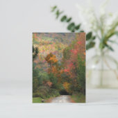 Carte Postale Route de campagne en automne (Debout devant)