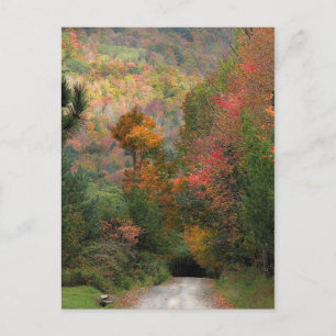 Carte Postale Route de campagne en automne