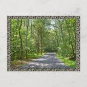 Carte Postale Route de campagne en été (Devant)