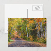 Carte Postale Route de gravier jonchée de feuilles avec couleurs (Devant / Derrière)