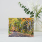 Carte Postale Route de gravier jonchée de feuilles avec couleurs (Debout devant)