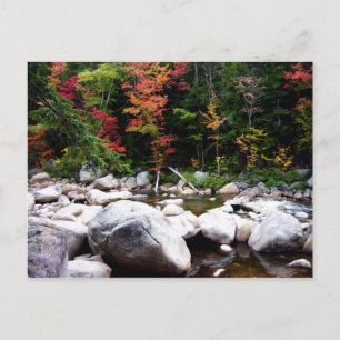 Carte Postale Route de Kancamagus à l'automne