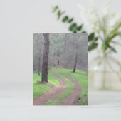 Carte Postale Route de la Pine Forest (Debout devant)