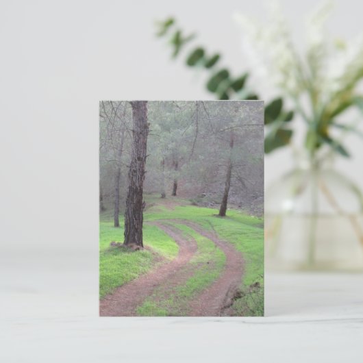 Carte Postale Route de la Pine Forest (Debout devant)