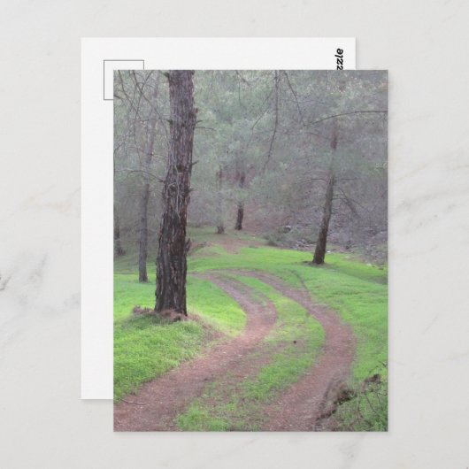 Carte Postale Route de la Pine Forest (Devant / Derrière)