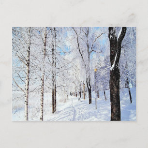 Carte Postale Route de neige
