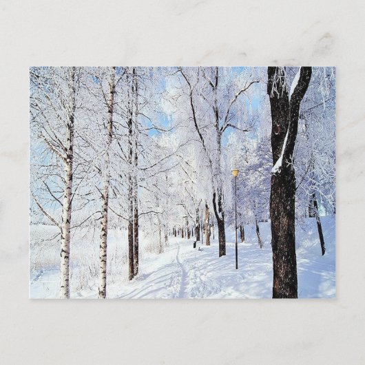Carte Postale Route de neige (Devant)