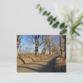 Carte Postale Route de novembre (Debout devant)