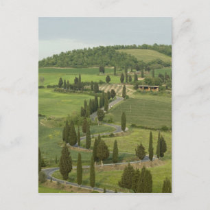 Carte Postale Route de Pienza à Montepulciano,