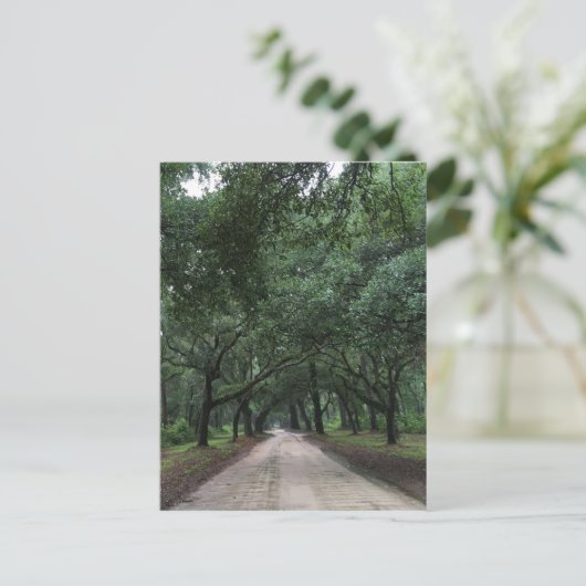 Carte Postale route de santee (Debout devant)