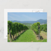 Carte Postale Route de Vins d'Alsace (Devant / Derrière)