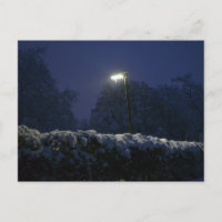 Route des merveilles d'hiver