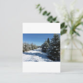 Carte Postale Route d'hiver (Debout devant)