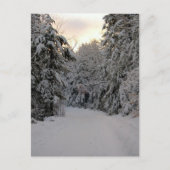 Carte Postale Route d'hiver (Devant)