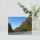 Carte Postale Route d'octobre (Debout devant)