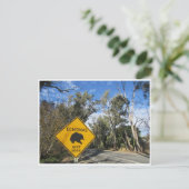 Carte Postale route echidnas (Debout devant)