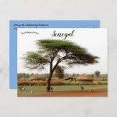 Carte Postale Route entre Ouro Sogui et Orkadiéré Sénégal (Devant / Derrière)