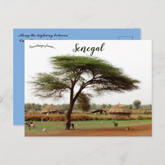 Carte Postale Route entre Ouro Sogui et Orkadiéré Sénégal (Devant / Derrière)