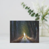 Carte Postale Route forestière 3 (Debout devant)