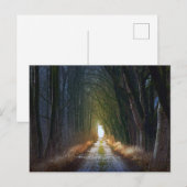Carte Postale Route forestière 3 (Devant / Derrière)
