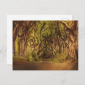 Carte Postale Route forestière 4 (Devant / Derrière)