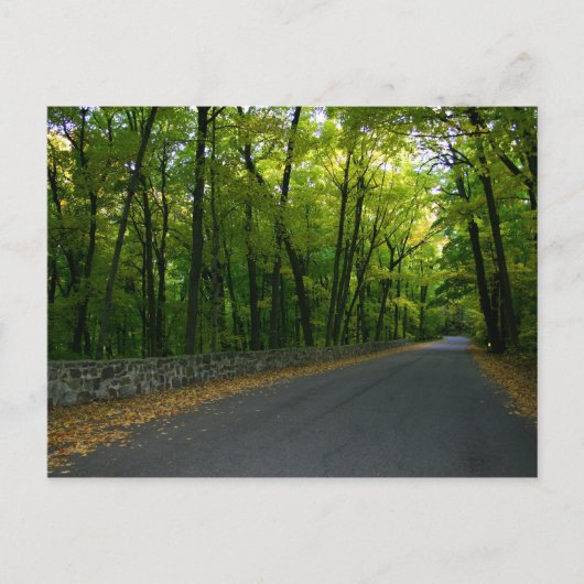 Carte Postale Route North Shore (Devant)