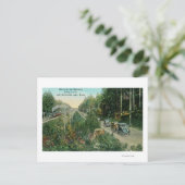 Carte Postale Route près du lac American (Debout devant)