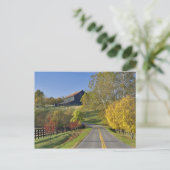 Carte Postale Route rurale à travers la région de Bluegrass dans (Debout devant)