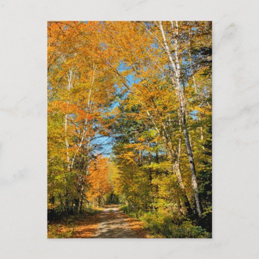 Carte Postale Route rurale couleurs d'automne New Hampshire (Devant)