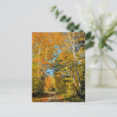 Carte Postale Route rurale couleurs d'automne New Hampshire (Debout devant)