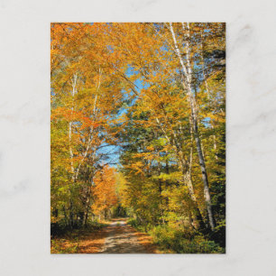 Carte Postale Route rurale couleurs d'automne New Hampshire