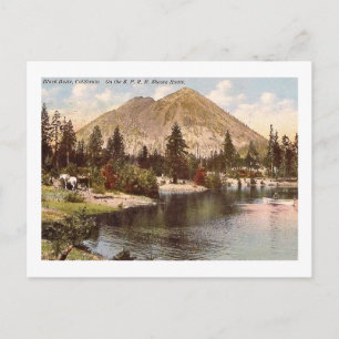 Carte Postale Route Shasta, Bouton noir, CA Vintage