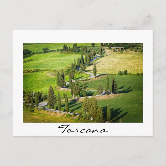 Carte Postale Route sinueuse bordée de Cypress en Toscane (Devant)