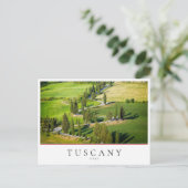 Carte Postale Route sinueuse Cypress en Toscane, Italie (Debout devant)