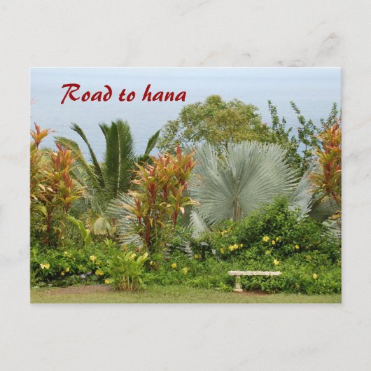 Carte Postale Route vers Hana (Devant)